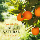 Hip Syrups - Orange Sugar Free Simple Syrup