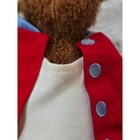 Vtg Disney Store The Muppets Rizzo The Rat 12  Plush Embroidered Jacket Rare