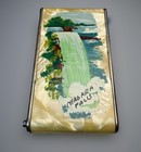 Vintage 1920   s Chatelaine Camera Art Deco Compact W painting On Reverse