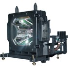 Jaspertronics    Original Lmp-h202 Lamp   Housing - Sony Projectors - 1yr Warranty