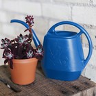 Bloem Aw21-33 Aqua Rite Blue Plastic Watering Can 56 Oz  With Loop Handle