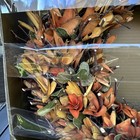 Vintage Pier-1 Autumn Fall Halloween 19  Wreath Wood Curl Wreath