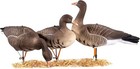 Goose Decoys Pack Of 6  Popular New Material Eva Collapsible Plastic Goose Hunti