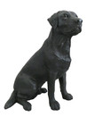 Black Labrador Sitting - Perfect Condition