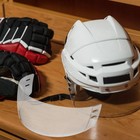 Hockey Goggles Straight Cut Clear Visor Half Face Anti-scratch Ice