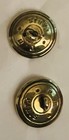 Ex Rare Antique Mother Of Pearl Floral Brass Border ca  1890s early1900s   