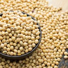 Bulk Soy Bean Seeds   Usa Vegetable Soybeans Planting Or Eating Cover Crop 2025