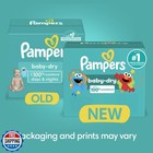 Pampers Diapers - Baby Dry - Size 3  104 Count  Absorbent Disposable Infant D