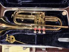 Conn Director Cornet W Conn Mouthpiece Case Lyre 1968 Shooting Star Pearl Lovely