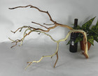 Manzanita Driftwood 26  Aquascaping Aquarium Home Decor