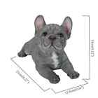 Grey blue French Bulldog Puppy Dog - Life Like Figurine Statue Home Garden