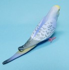 Shine G Tenori Inko Yellow Face Budgerigar Shell Parakeet Bird Figure Us Seller