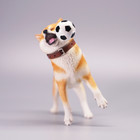 1 6 Simulated Shiba Inu Model Lifelike Dog Animal Model Creative Ornaments