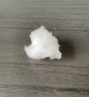 Test Tube Ant Farm Nest Used For Ondontmachus Simillimus 1-4w Trap Jaw Habitat