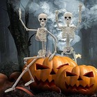 Halloween Skeleton Oversized Poseable Human Full Life Size Party Decor Prop New