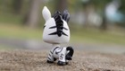 Littlest Pet Shop Lps Zebra Figure Black   White Custom   New old Gen
