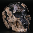 3 0  Ocean Jasper Carved Crystal Skull  Realistic  Crystal Healing