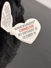  cornelius  2026 Ty Beanie Bouncer  Halloween Mystery Box  3 1 2  Ball   new 