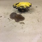 International 140 Planter And Side Dresser Final Drive Gear