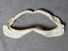 Bull Shark Jaw 13 5 X 6 5 Inches Taxidermy  hanging Holes 