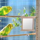 Bird Bell Toy Bird Swings Bird Cage Toys Parrot Stand Toy Parrot Hanging Play