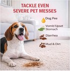 Pet Stain   Odor Eliminator Spray For Dog Urine  35oz