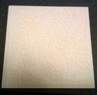Ceramic Tile Finch Rose Garden Floral Decorative Wall Art Backsplash Home Decor