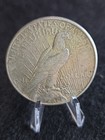 1926 Peace Dollar  Nice Au Condition Beginning To Tone Nice Strike Full Feathers