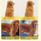 Rechargeable Shedding Hair Spray Hot Steam Easy Pet Grooming Brush For Cat  Dog