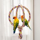 Bird Rope Swing Colorful Perch Toy For Parrot Cockatiel Cage
