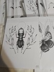 Vintage Art Tattoo Flash Sheet Lot 49 Signed J w 
