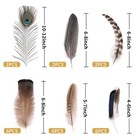 24pcs Natural Feathers Bulk - 6 Styles Assorted Peacock pheasant turkey Feathers