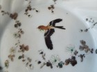 Antique Japanese Enamel Porcelain China Bird   Floral Flower  Bowl