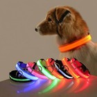 Rechargeable Usb Led Dog Pet Light Up Safety Collar Night Glow Adjustable Bright