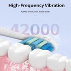Electric Toothbrush Sonic 42000 Vpm 5 Modes 8 Heads Timer Waterproof Adult