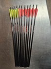 Easton 20   Power Crossbow Bolts W  Flat Nocks  11pk 
