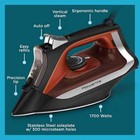 Rowenta Access 1700 Watts Stainless Steel Soleplate Steam Iron  your Choice 