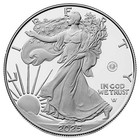 2025-w Proof  1 American Silver Eagle Laser Beam Privy Box  Ogp    Coa