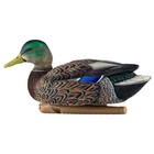 Avian X Topflight Early Season Mallard Duck Realistic Decoys  Multicolor  6 Pack