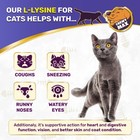 L-lysine Drops For Cats   Eye  Nose   Allergy Support   Vitamins   Probiotics  