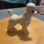 Beswick Dog The Poodle Model No  2339 Large White  Gloss Finish 