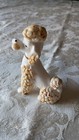 Inarco Magic Mitzi Poodle Mcm 1950   s Bisque Porcelain Figurine Dog Kitsch Japan