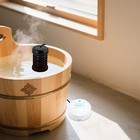 Ionic Detox Foot Bath Spa Machine Portable Salon Ion Aqua Foot Bath Beauty Kit 