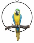 Ebros Hanging Blue And Gold Macaw Perching On Branch In Metal Round Ring 13 5 h