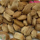 Bitter Gourd Seeds   Green Skin Long Bitter Gourd Seeds   Bitter Melon Seeds