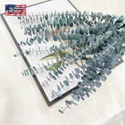 Eucalyptus For Shower 10 Pcs Hanging Dried Eucalyptu Stems 17  Real Eucalyptus B