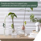 Leafriend  Plant Propagation Buddy  Plant Support For Sprouts  Stems  Shoots 