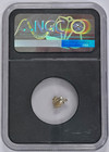 Alaska Gold Nugget - 0 56g 0 56 Gram 1 2gram - Ngc Vaultbox Slabbed