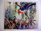 Beautiful 1952 Cruise Ship Menu With Mama Bird Feeding Babies