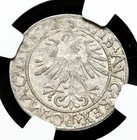 Poland  Lithuania  Sigismund  1562  Silver 1 2 Groschen  Ngc Au53